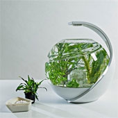 Avo - The fish tank for busy people