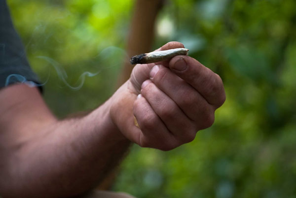 Back to the time of human apes, because of marijuana