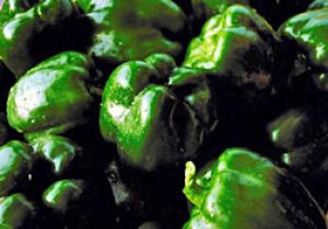 Bacteria are good for controlling germs