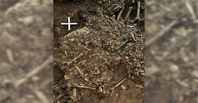 Bacteria associated with 'black death' were found in 5,000 year old tombs