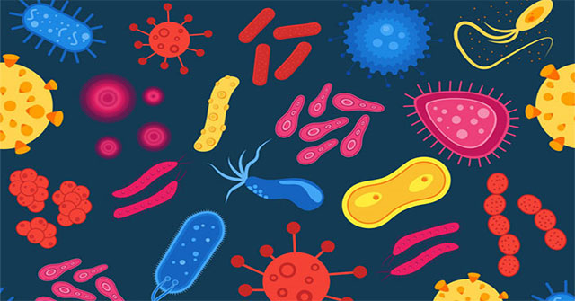 Bacteria can travel thousands of miles, do you know?