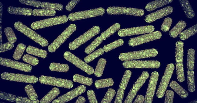 Bacteria in the universe are making astronauts at risk