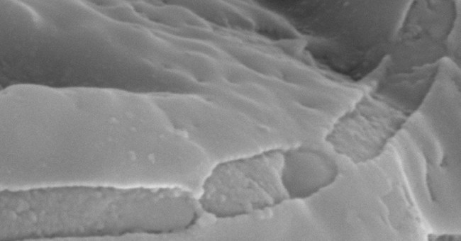 Bacteria more than three billion years old hide in the cave