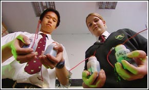 Bacteria of future energy storage bacteria