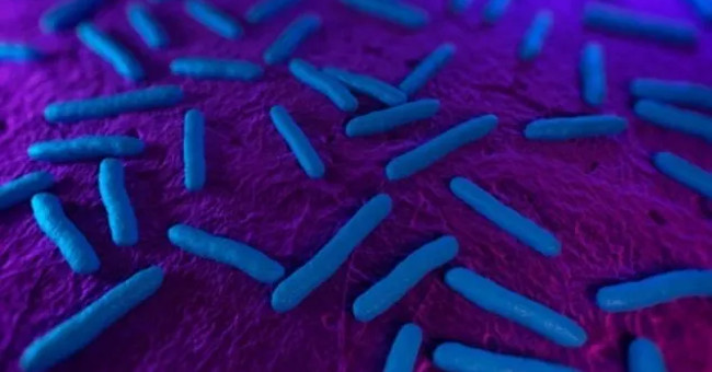 Bacteria resistant to all drugs discovered in the US