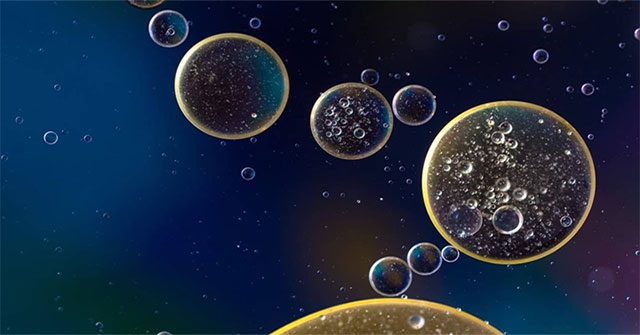 Bacteria that eat oil have been discovered in the deepest part of the ocean