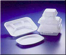 Bacteria turn foam into plastic self-destruct