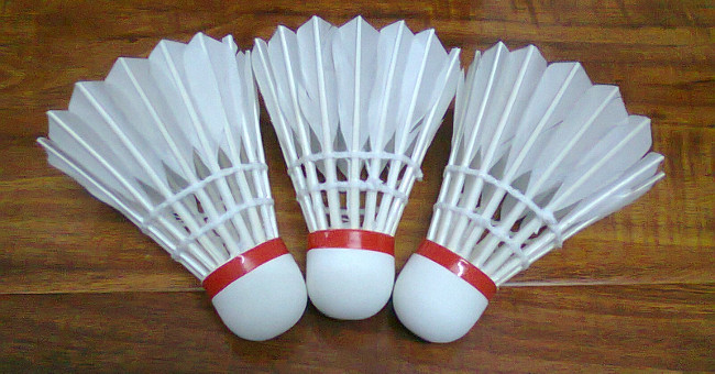Badminton is one of the most exquisite creatures in the world