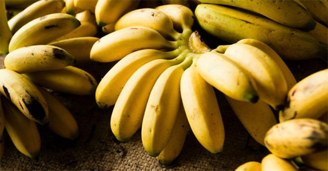 Banana: Latest discoveries about nutrition, benefits, risks and banana peels
