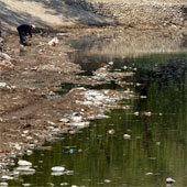 Battery manufacturing works with animal dung