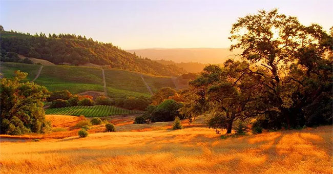 Beams of photos: Sac autumn brilliantly all over the world
