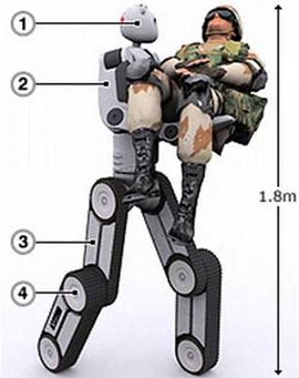 Bear robot load