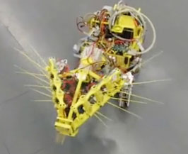 Beard rescue robot