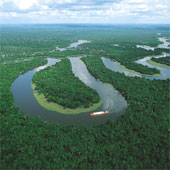 Beautiful Amazon natural forest comes to awe