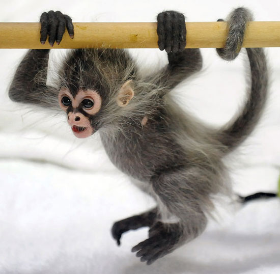 Beautiful animal photos for the week