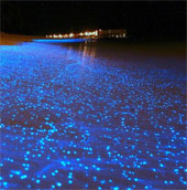 Beautiful glowing coast like fireflies in Maldives