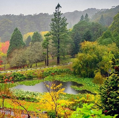 Beautiful 'golden autumn' paintings in countries