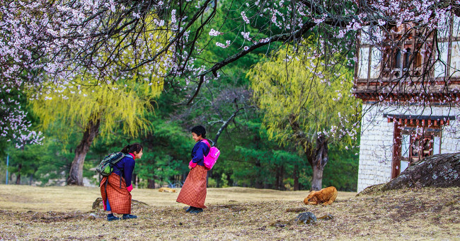 Beautiful moments in the mysterious land of Bhutan