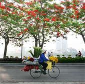 Beautiful photo set about 'Hanoi - The street vendors'