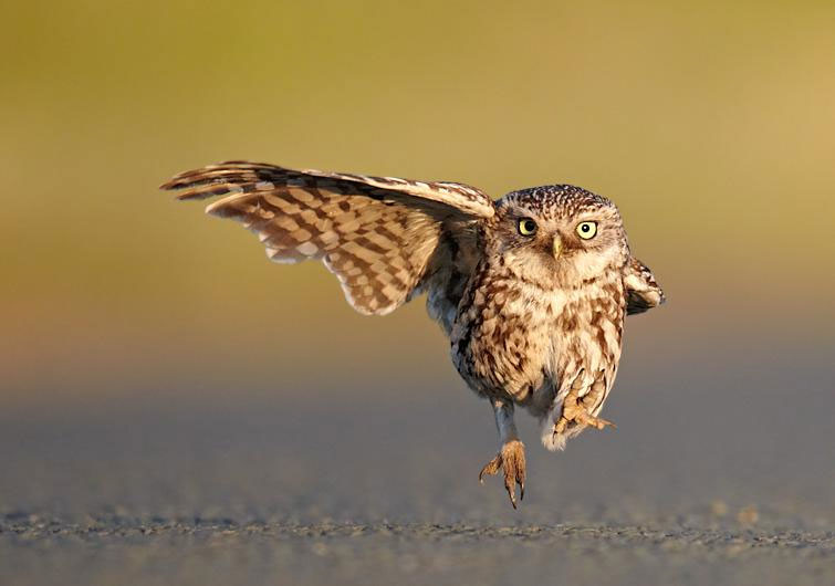 Beautiful photo: The figure of the
