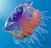 Beautiful photos of animals