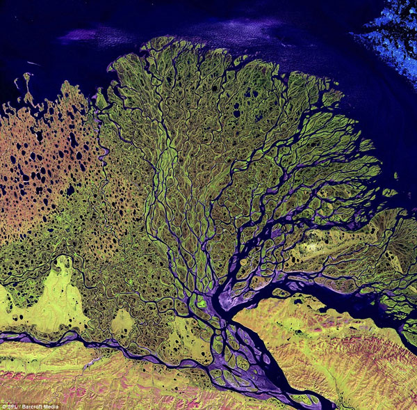 Beautiful photos: The neurons of the Earth