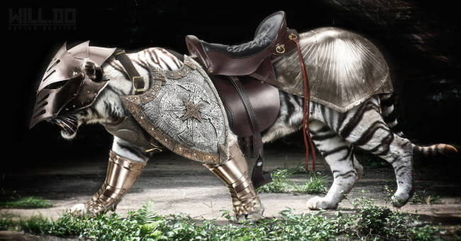 Beautiful photoshop photos about animals