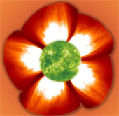 Beautiful pictures of the chaos of the sun