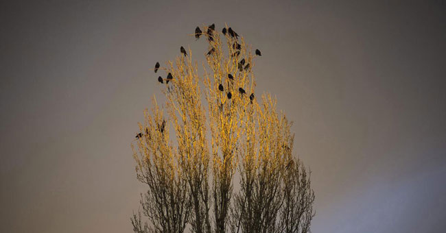 Beautiful spring moment in the Northern Hemisphere