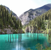 Beautiful underwater forest in Kazakhstan