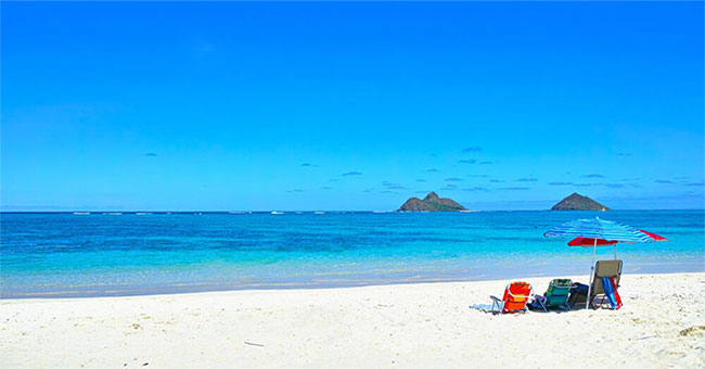 Beautiful white sand beach in Hawaii is really just ... fish feces?