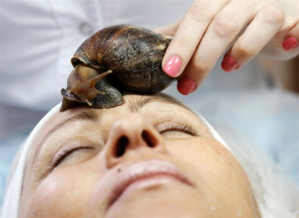 Beautify facial skin with snail mucus