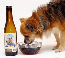 Beer for dogs