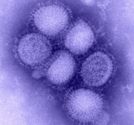 Beijing successfully tested clinical influenza A / H1N1 vaccine