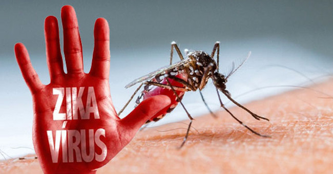 Belgium recorded 32 cases of Zika virus infection