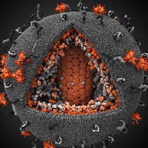 Best micro photos in 2010