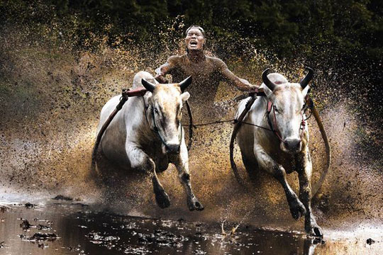 Best photo of National Geographic in 2010