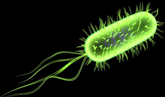 Beware of deadly bacteria when using food
