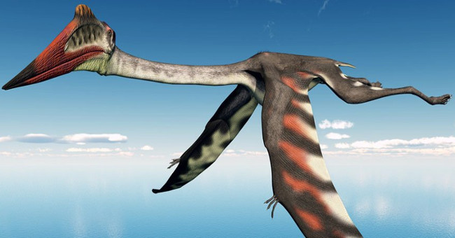 Big monsters with an airplane dominate the ancient sky