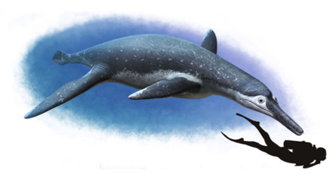 Big ocean killer with bus living with dinosaurs
