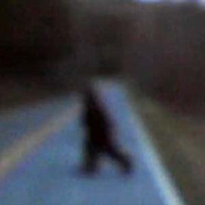 Bigfoot monsters appear in America?