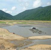 Binh Dinh 'asking for 100 billion dong to combat drought