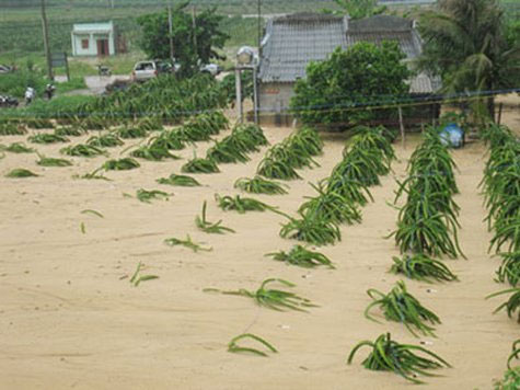 Binh Thuan: Sand discharged from mines pours into people's houses