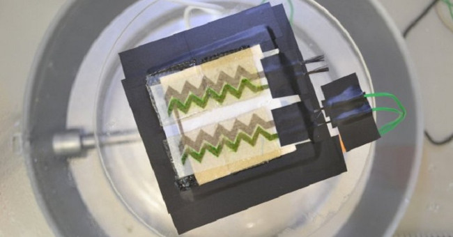 Bio-colored solar panels
