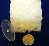 Biodegradable plastics help reduce environmental pollution