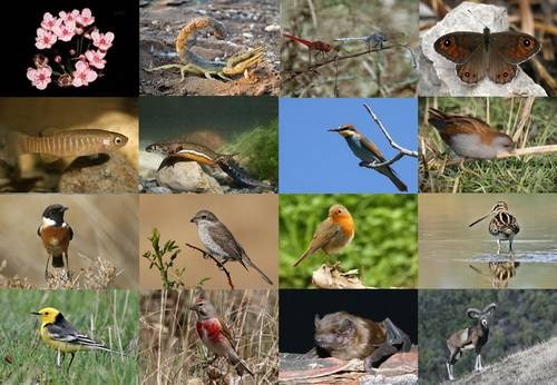 Biodiversity: A balance between conservation and exploitation is needed