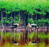 Biodiversity Conservation of Ca Mau National Park