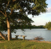 Biodiversity conservation, wetland of O Lau estuary