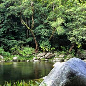 Biodiversity economy
