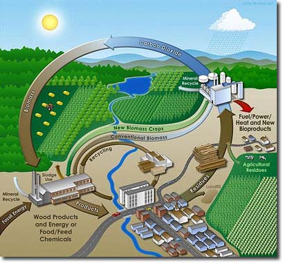 Biofuels: An appropriate strategy?
